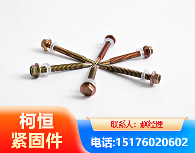 来宾六角钻尾丝